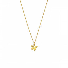 Cargar imagen en el visor de la galería, COLLAR CORTO GARGANTILLA ACERO COLGANTE ESTRELLA DE MAR

